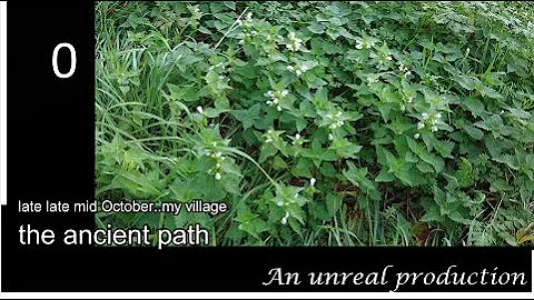 path to St  Leonard Sutton Veny..my village Thursd...