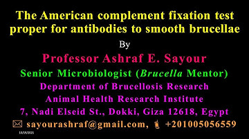 The American complement fixation test proper for the detection of antibodies to smooth brucellae