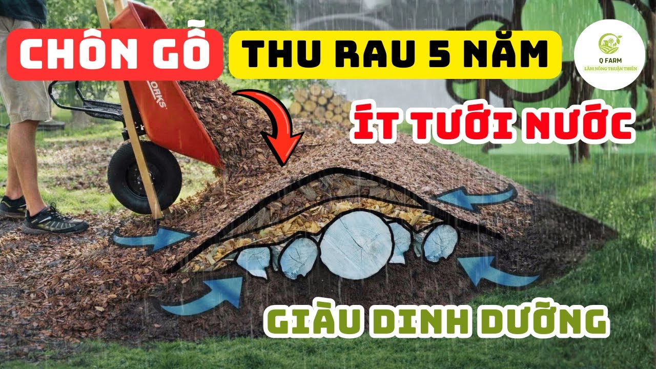 Luống Trồng Nâng Cao Hugelkultur: Biến Gỗ Thành Luống Rau 5 Năm Không Lo Đất
