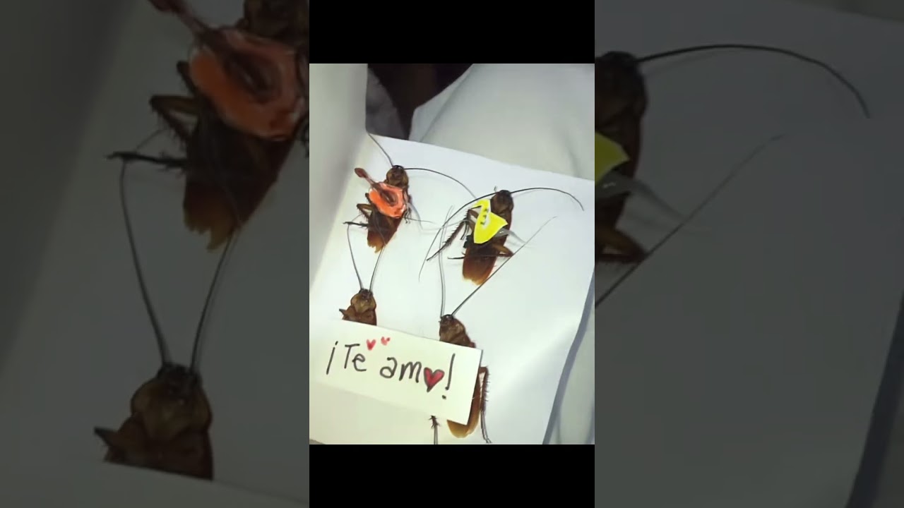 Подарок, сделанный своими руками 