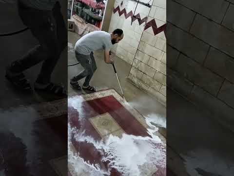 المكافح عشها برجول أحسن متعشها هلهوله الايد الشقيانه كسبانه