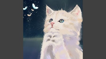 Learn to Meow (DJ Tiktok Remix)