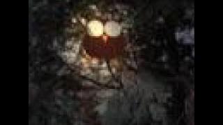 The owl moans low (Lonely Drifter Karen)