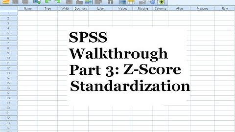 SPSS Walkthrough Part 3 - Z Score Standardization