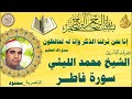 فاطر الناصرية سمنود الشيخ محمد الليثي 
