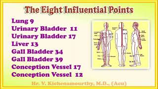 Famous The Eight Influential Points Profile