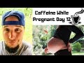Effects of Caffeine on Pregnant Women - No Caffeine Day 12