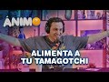 Alimenta A Tu Tamagotchi - Ánimo (Ep. #09)