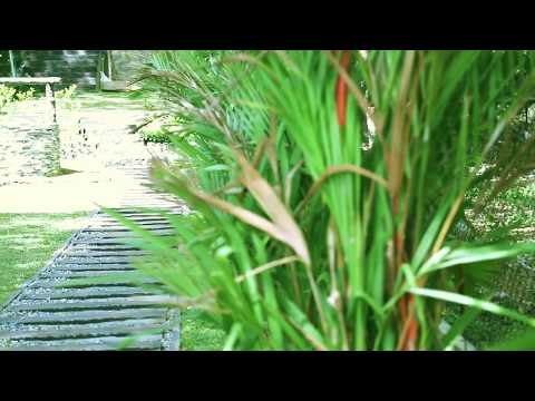 garden-landscaping-solution-sri-lanka