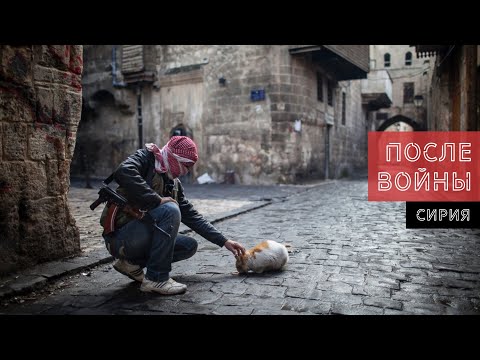 Как люди живут и отдыхают в Сирии.