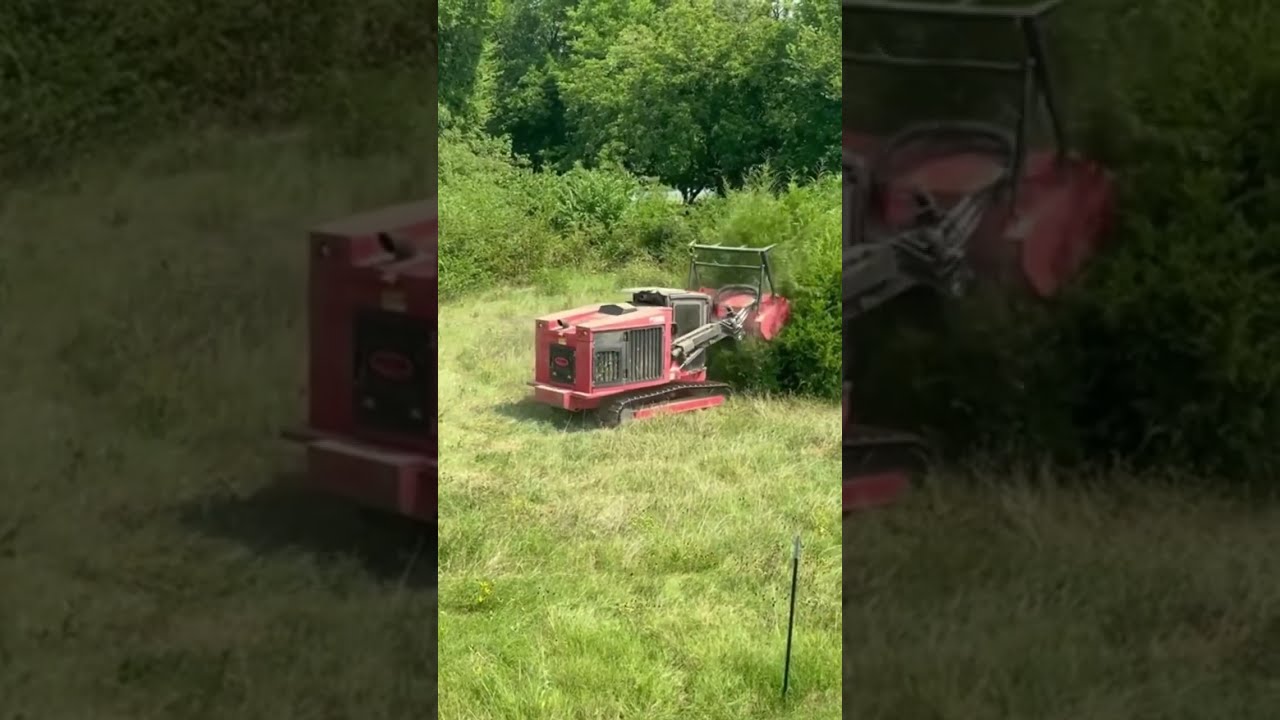 Tree Mulching With FECON FTX 150 Forestry Mulcher Efficient Land Clearing