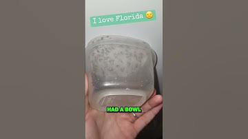 Never Touch Wolf Spiders!🕷️