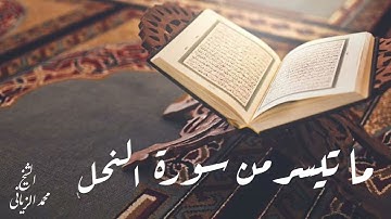 ما تيسر من اواخر سورة النحل للقارئ محمد الزياني