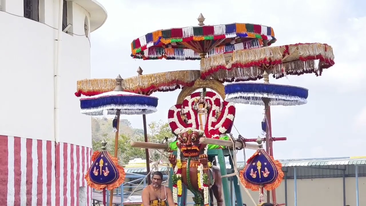உற்சவர் முருகப்பெருமான் சிம்ம வாகனத்தில் எழுந்தருளினார். #trend #status #murugan #viral #tiruttani 