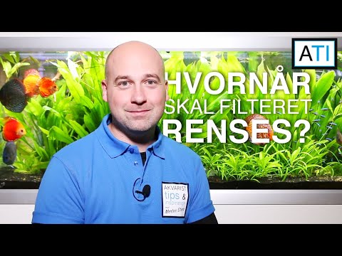 Video: Hvor Ofte Skal Du Rense Dit Akvarium?