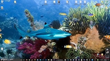 How To Import Bookmarks into Google Chrome From Firefox