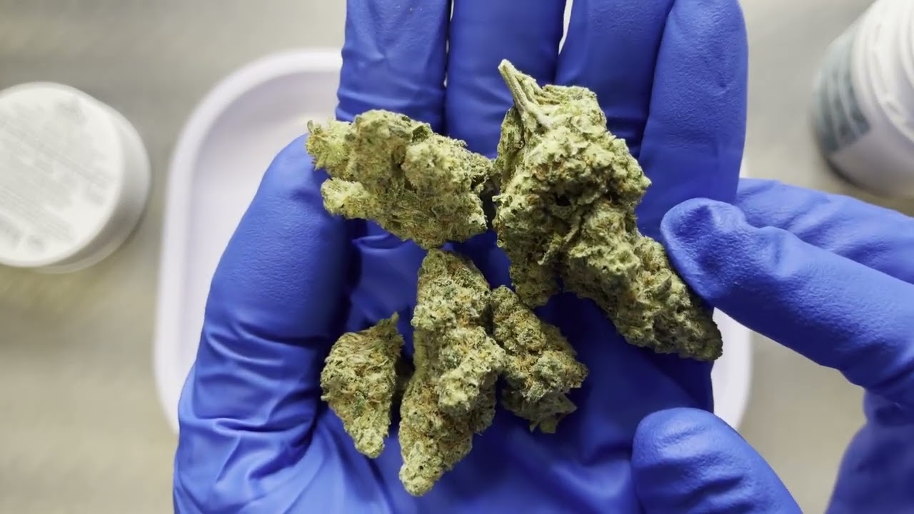 Mac N Jack In House Strain Review