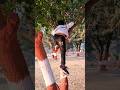 মা দেখার আগে গাছে লুকিয়ে যায় |#shorts #trending #happy #hide