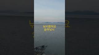 #원투낚시  am5시#숭어채비 #강화도낚시 #흥왕리낚시 #힐링낚시  #동막해수욕장