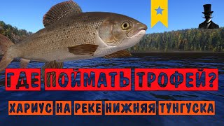 Где поймать трофей? - Хариус западносибирский на р. Нижняя Тунгуска! - Русская Рыбалка 4.