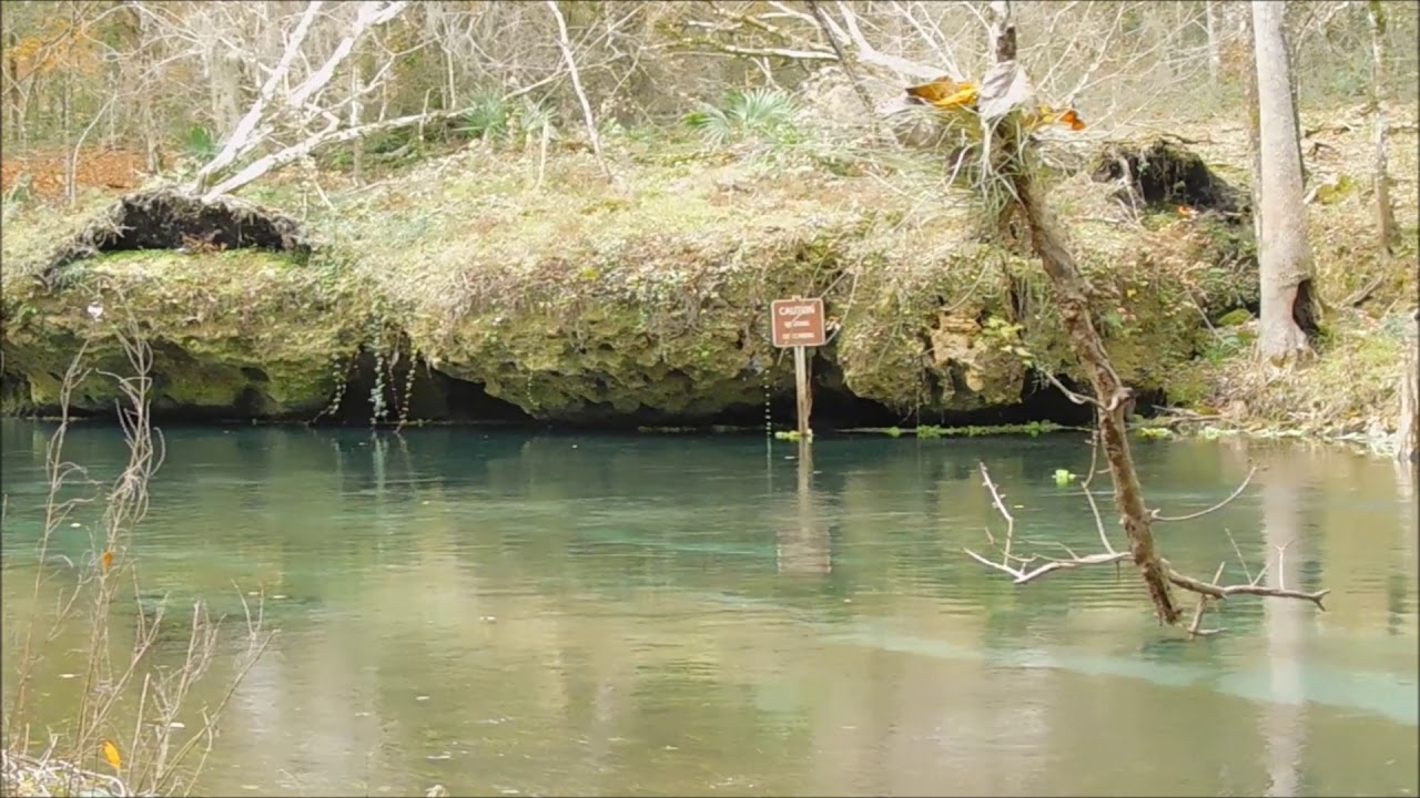 Lovely Ichetucknee River at Dampiers landing YouTube