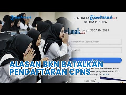 Alasan BKN Batalkan Pendaftaran CPNS dan PPPK 2023