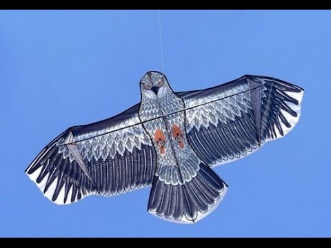 Мой купленный воздушный змей на лето, прикольный и большой - YouTube