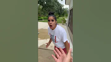 Dad Catches Son Wetting Dog Then Mom Does This Shorts 