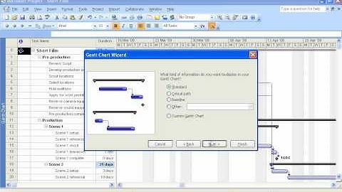 View the Critical Path in Microsoft Project