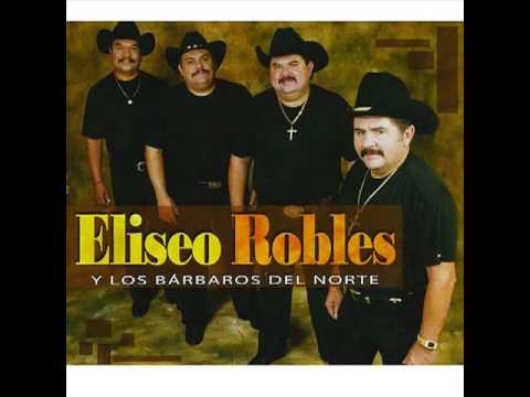 Gaviota - Eliseo Robles