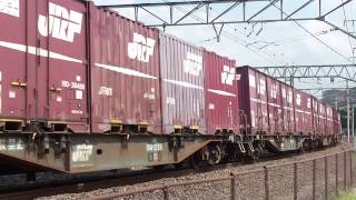【HD】EF210-161 貨物列車(1071レ 桃太郎 100番台) 米原操(8865レ停車中)
