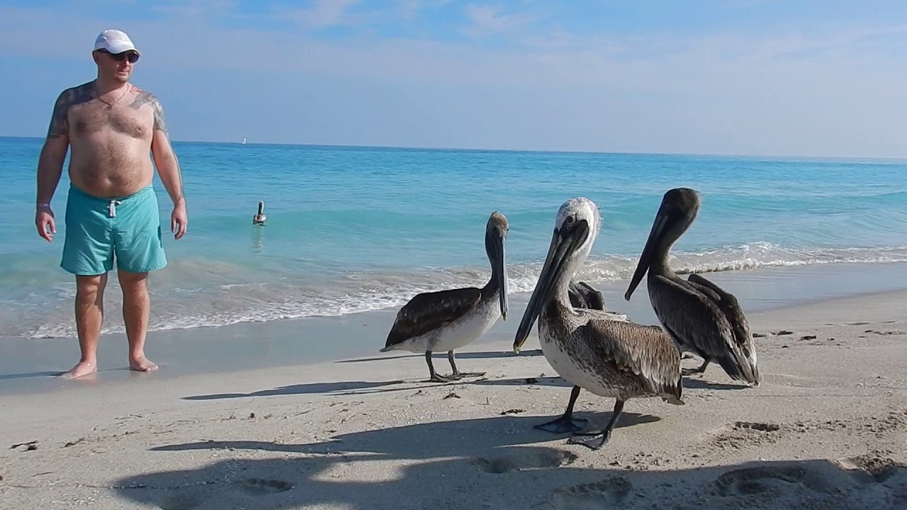 Куба , Варадеро, пляж Иберостар Тайнос ,апрель 2018