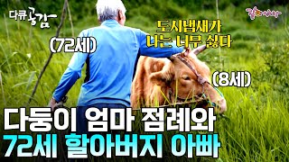 [다큐 공감] 내 딸인데 벌써 자식만 다섯인 다둥이 엄마여~ 할아버지와 다둥이 엄마 점례의 찐한 3년 우정💓ㅣKBS 2015.06.13