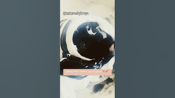 Mixing colors + textures = pure happiness 🎨💕 #CreativeJourney