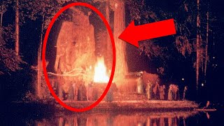Bohemian Grove: 5 Mysteries of the Elite Meeting That Still Rules the World
