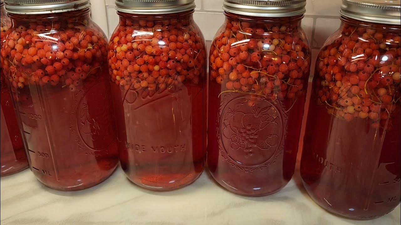 Огурцы в банках с красной смородиной. Красная смородина компот. Компот из белой смородины. Закрутки из смородины на зиму. Компот из чёрной смородины на зиму.