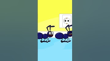 Thumbnail of Ants - Animal Kids Song - Hooray Kids Songs #ants #animalsong #hooraykidssongs