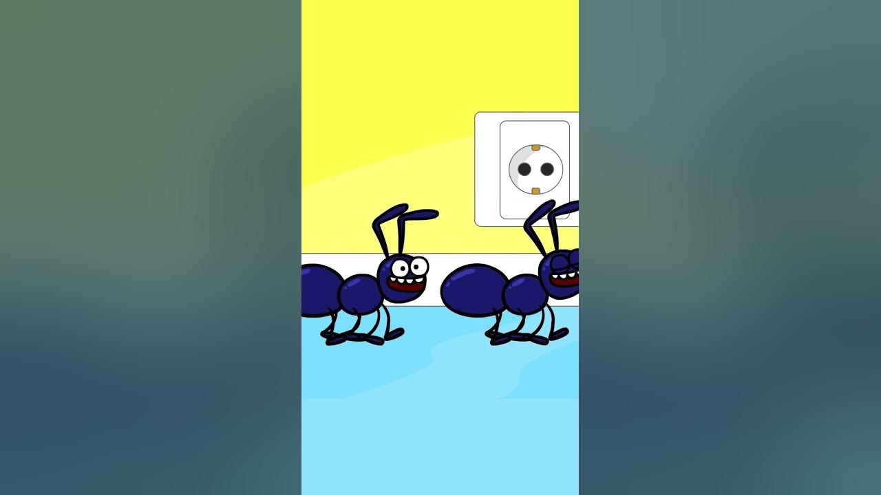 Ants - Animal Kids Song - Hooray Kids Songs #ants #animalsong #hooraykidssongs