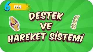 6. Sınıf Fen: Destek ve Hareket Sistemi #2022