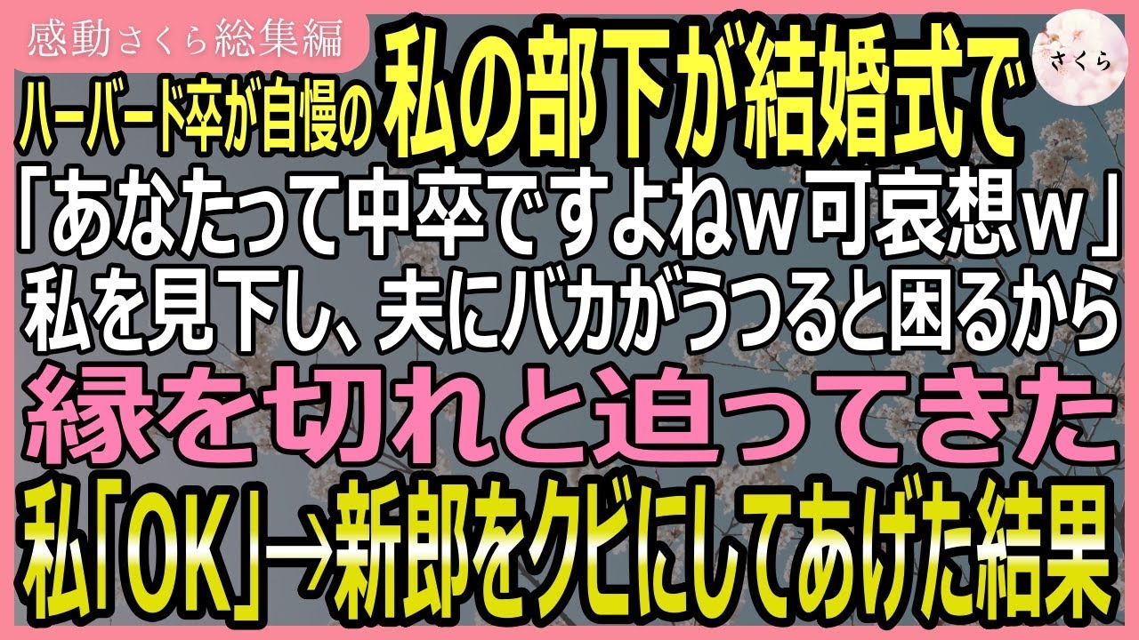 【感動する話・総集編】ハーバード卒の部下の結婚式に出ると花嫁が「上司が中卒ｗ恥ずかしいから縁切ってよｗ」私「いいんですか？！」言う通りに新郎をクビにした結果ｗ【いい話・スカッと・スカッとする話・朗読】