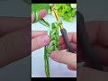 Beginner's crochet tutorial, crochet Basics for crochet lovers, learn How to crochet, How to Knit Le
