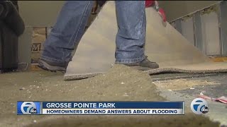 Homeowners demand answers about flooding in Grosse Pointe Park