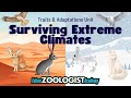 Climate Adaptations in Animals Across Diverse Ecosystems