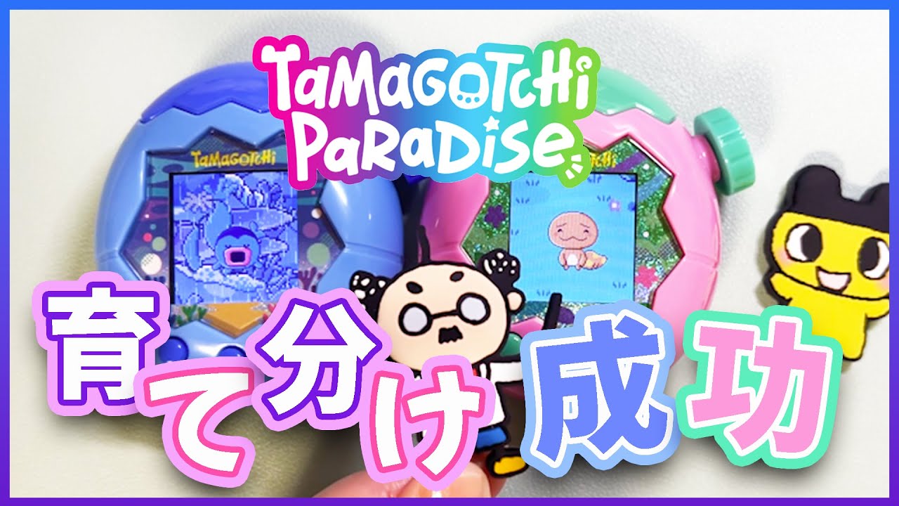 初めて育てた❗️たまごっちパラダイスはあの子に変身⁉️