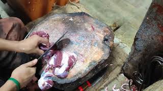 Nasir Meat Shops From Kolaghat Reaji Khaci