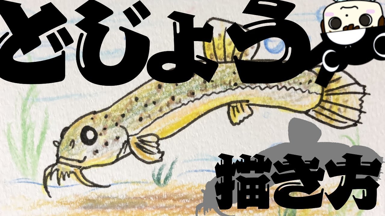 お魚イラスト 簡単 ドジョウの描き方 Youtube