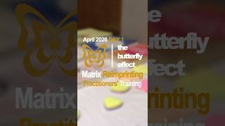 Matrix Reimprinting Practitioners' Training Day-1