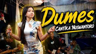 DUMES - Cantika Nuswantoro