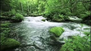 Suara air mengalir dan suara alam 