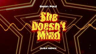 Sean Paul - She Doesn't Mind (QUBA REMIX)